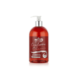 Astonish Hand Wash 500ml Cranberry & Cinnamon